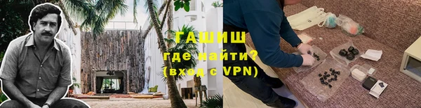 стаф Новокубанск