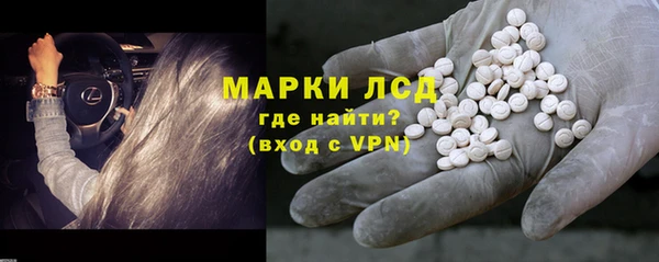 стаф Новокубанск