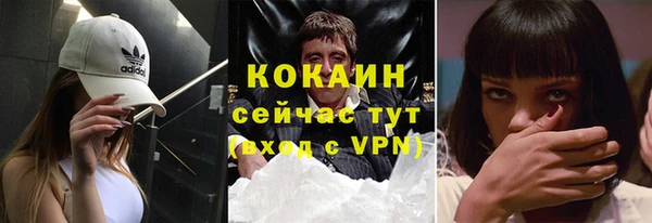стаф Новокубанск
