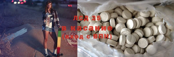 стаф Новокубанск