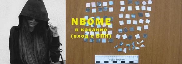 стаф Новокубанск