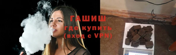 стаф Новокубанск