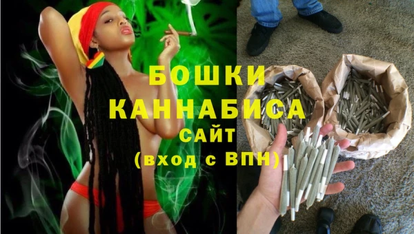 стаф Новокубанск