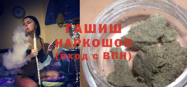 стаф Новокубанск