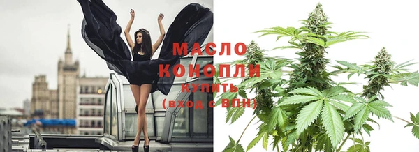 стаф Новокубанск